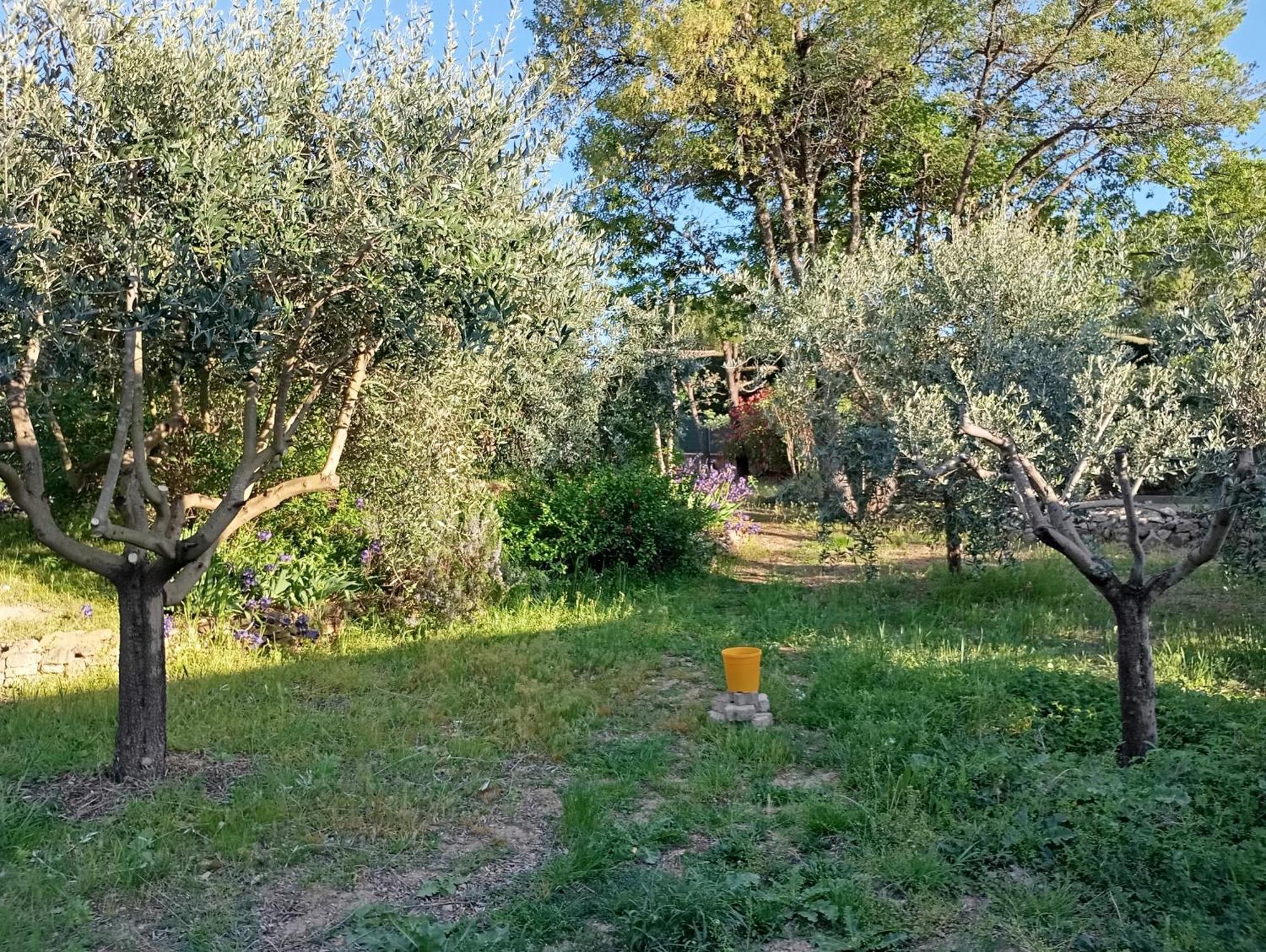 Studio 25M2 Avec Piscine Et Spa, Proche Iter Et Cadarache Lejlighed Valensole Eksteriør billede